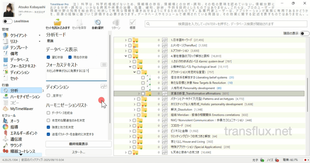 タイムウェーバー自動分析の画面画像Transflux多次元能力研究所