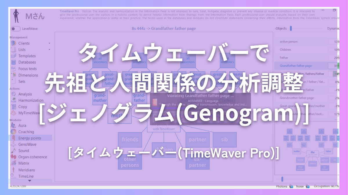 タイムウェーバーで先祖と人間関係の分析調整[ジェノグラム(Genogram)]エナジーポイント(Energy Point)
