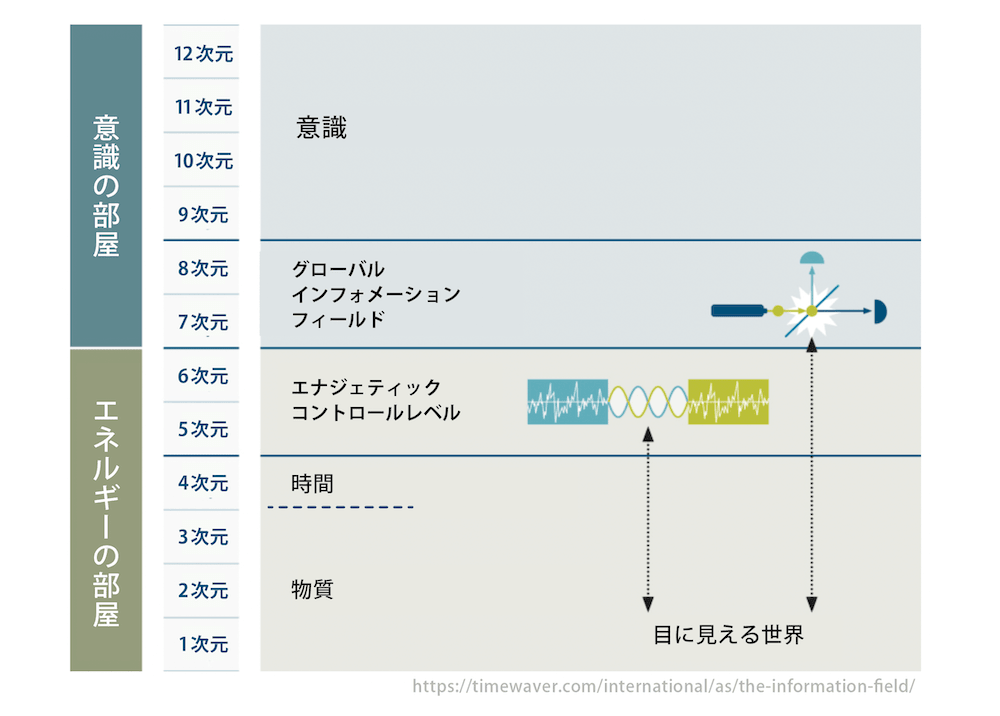 ブルクハルトハイムの12次元理論画像