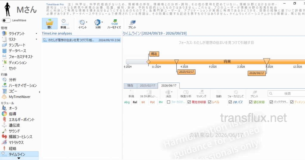 タイムウェーバー(TimeWaver)で未来・過去の特定と分析、波動調整[タイムライン]