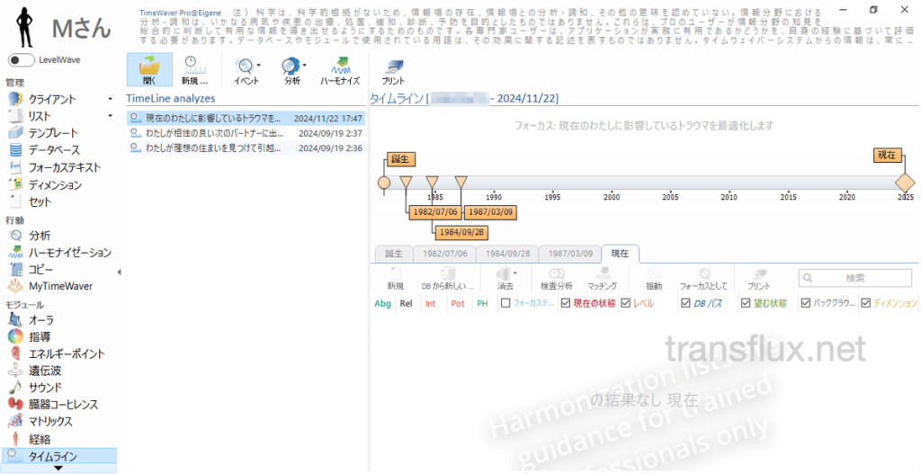タイムウェーバー(TimeWaver)で未来・過去の特定と分析、波動調整[タイムライン]