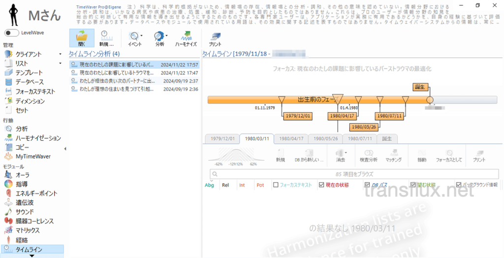 タイムウェーバー(TimeWaver)で未来・過去の特定と分析、波動調整[タイムライン]